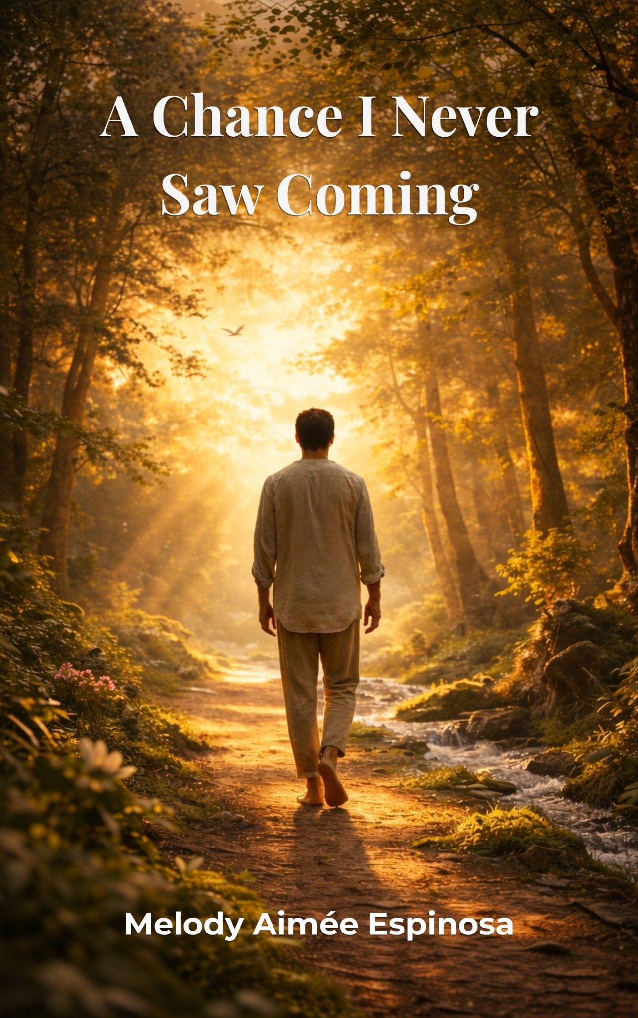 Cover of A Chance I Never Saw Coming