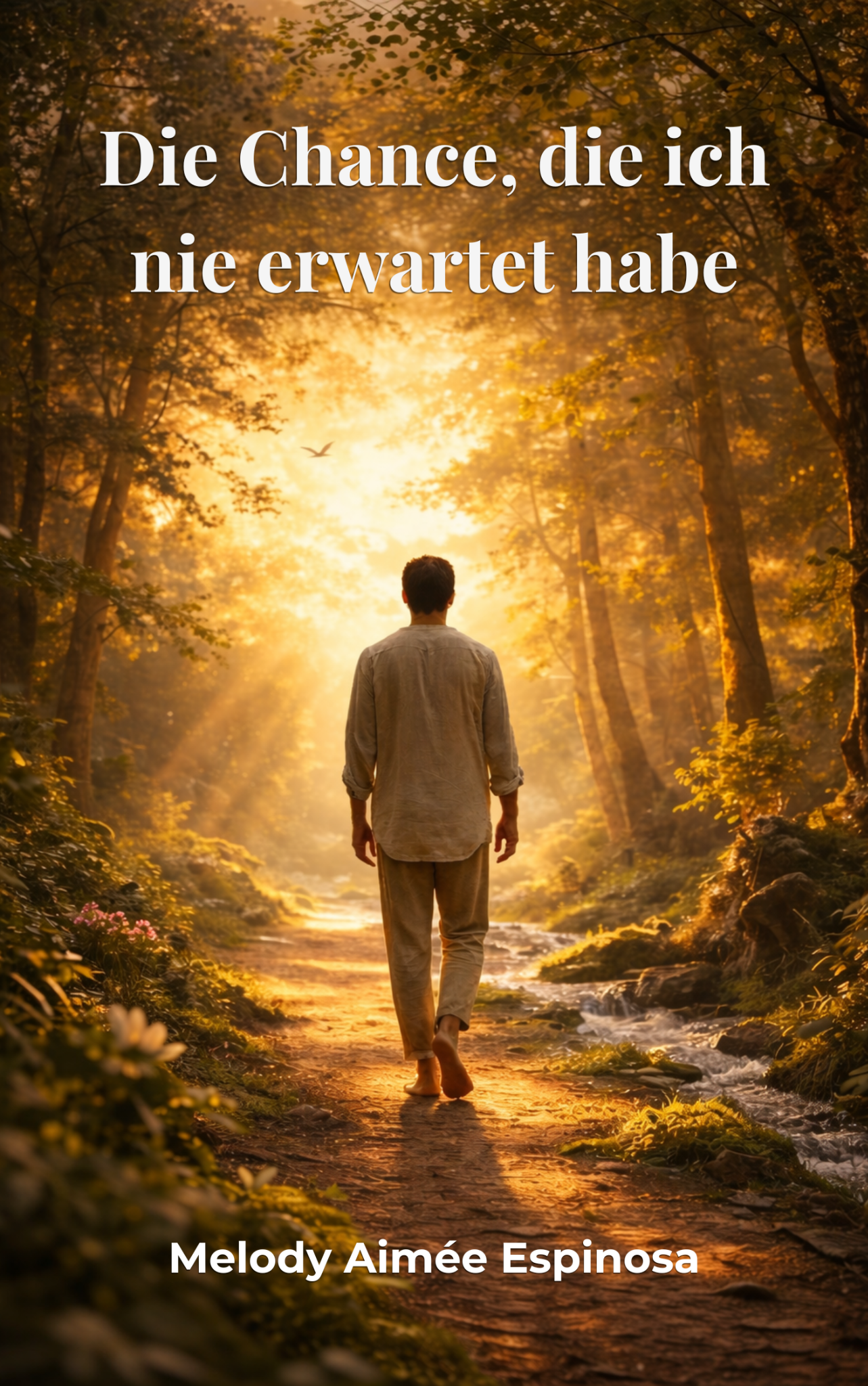 Buchcover von Die Chance, die ich nie erwartet habe